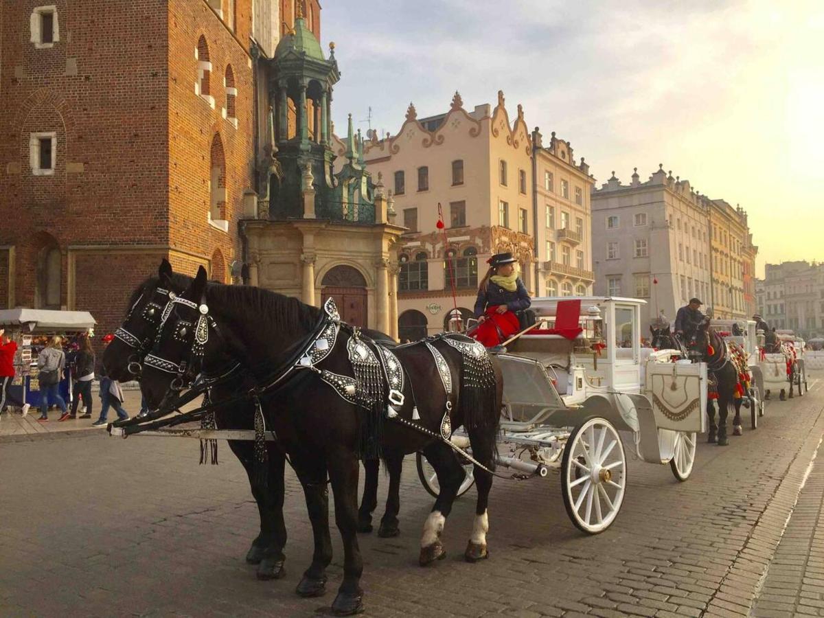 Studio Appartment In Old Town Kraków Zewnętrze zdjęcie